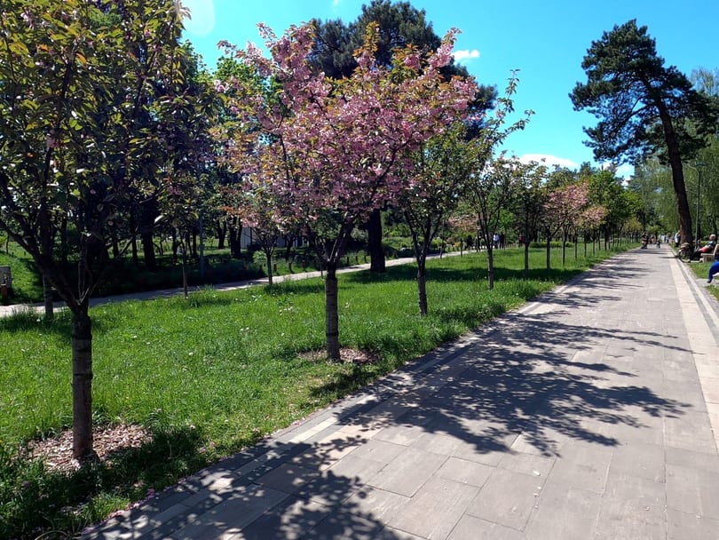 Kyoto Park, Kyiv