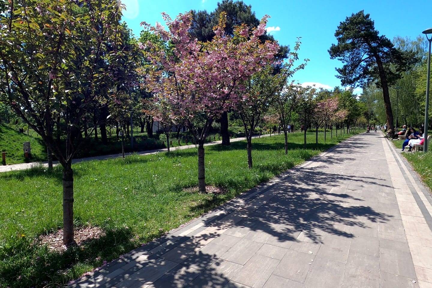 Kyoto Park, Kyiv