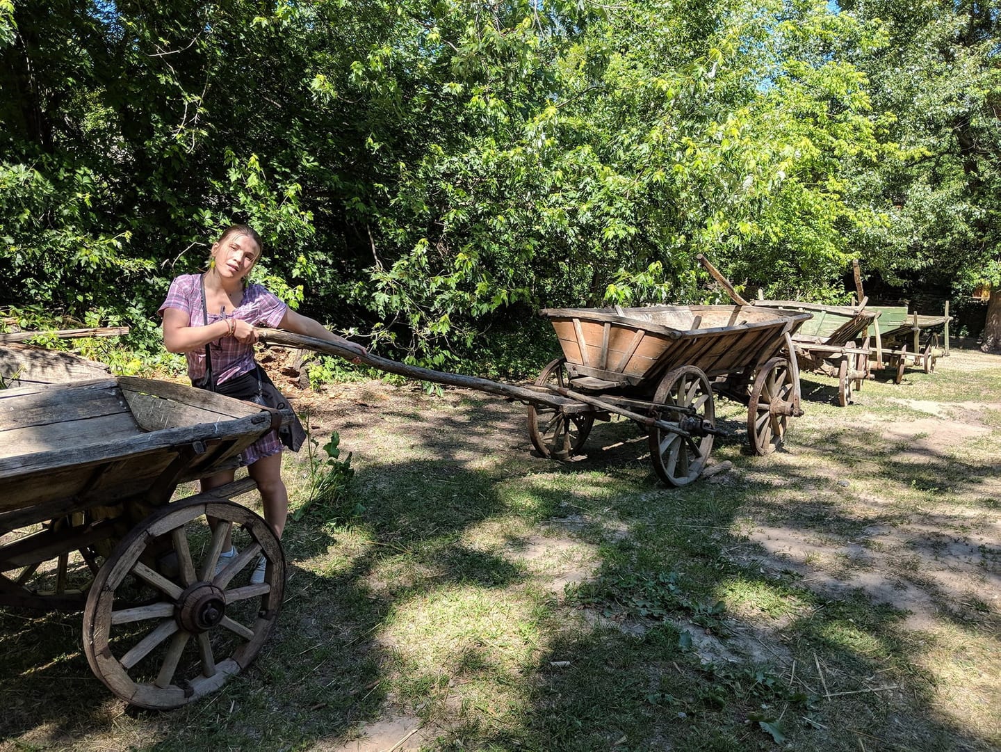 Mamayeva Sloboda Traditional Carts