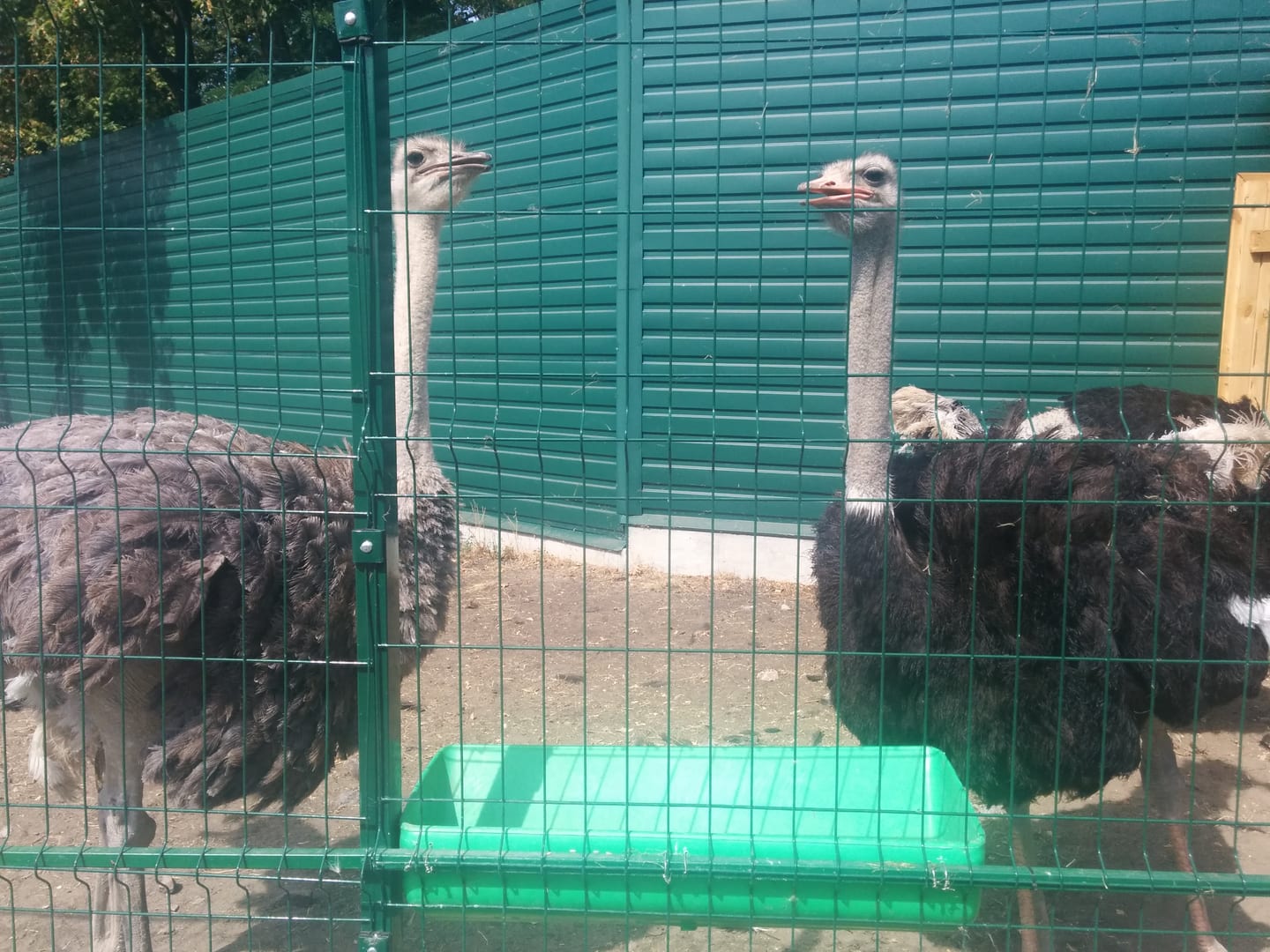 Mezhyhirya Residence Zoo