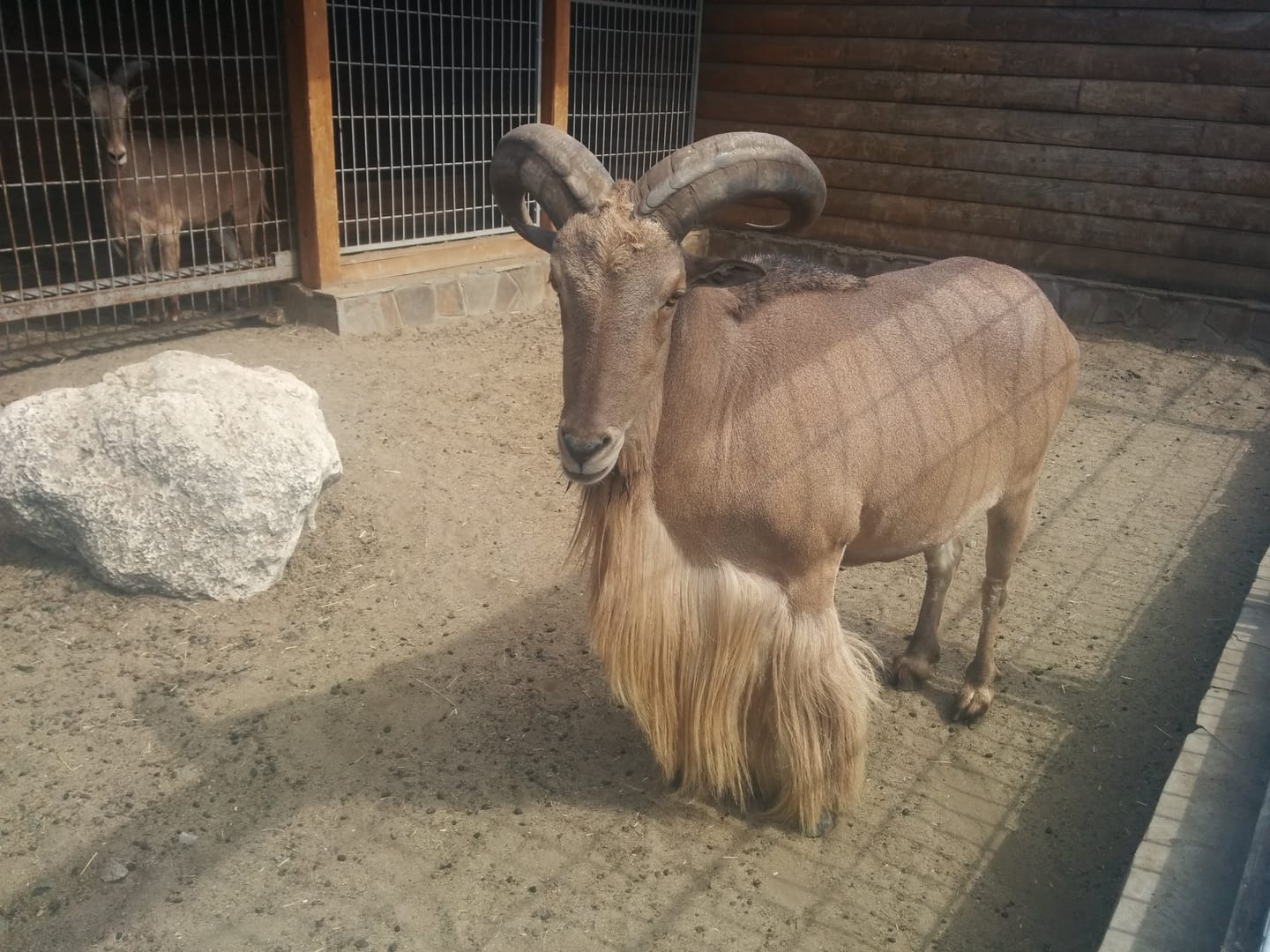Mezhyhirya Residence Animals