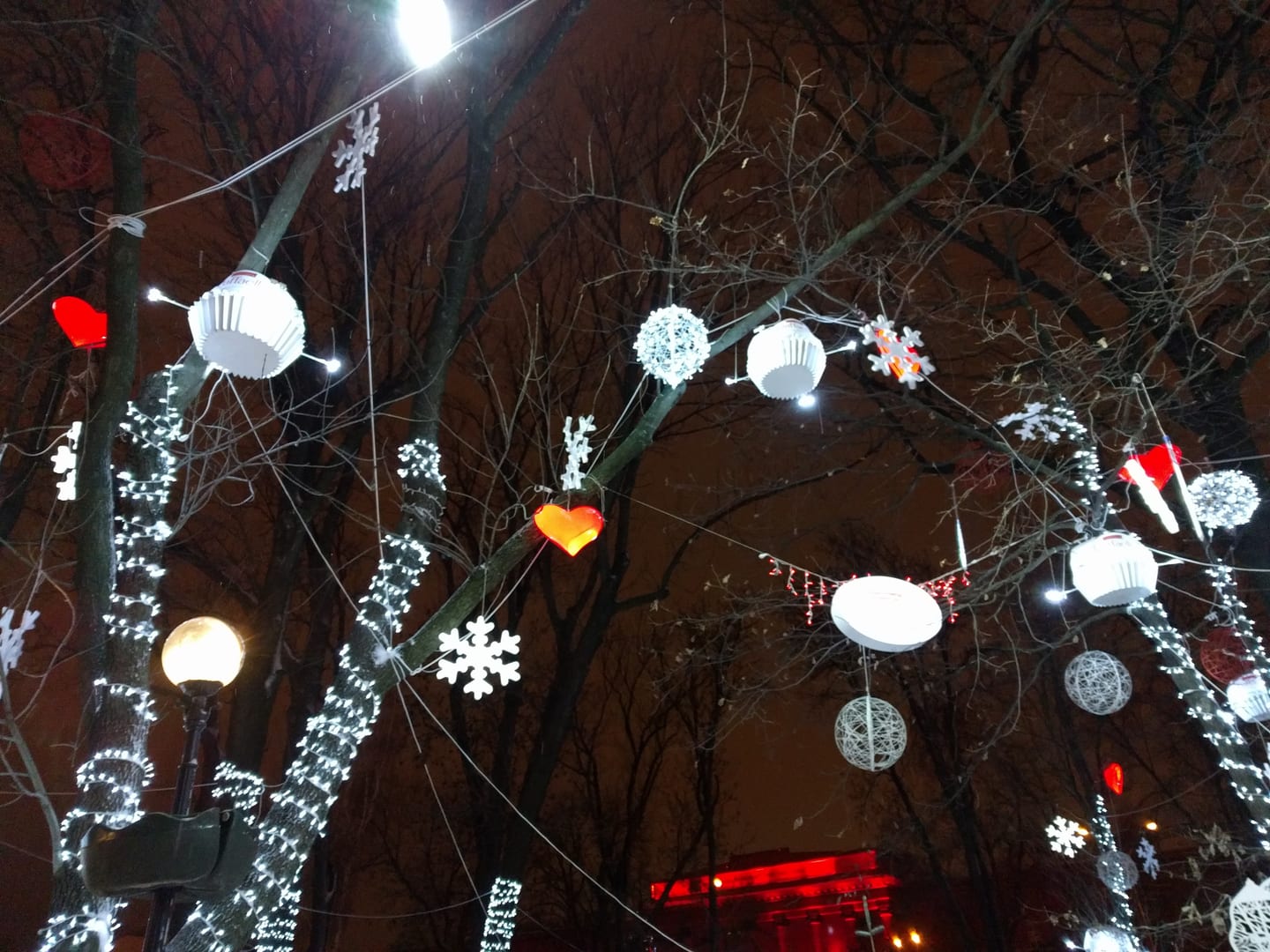 Taras Shevchenko Park at Christmas