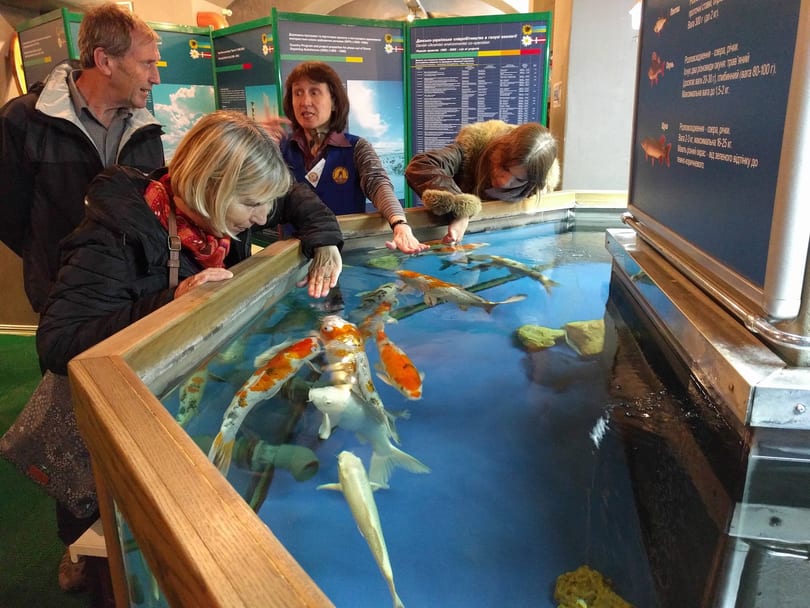 Koi Fish - Water Museum, Kyiv