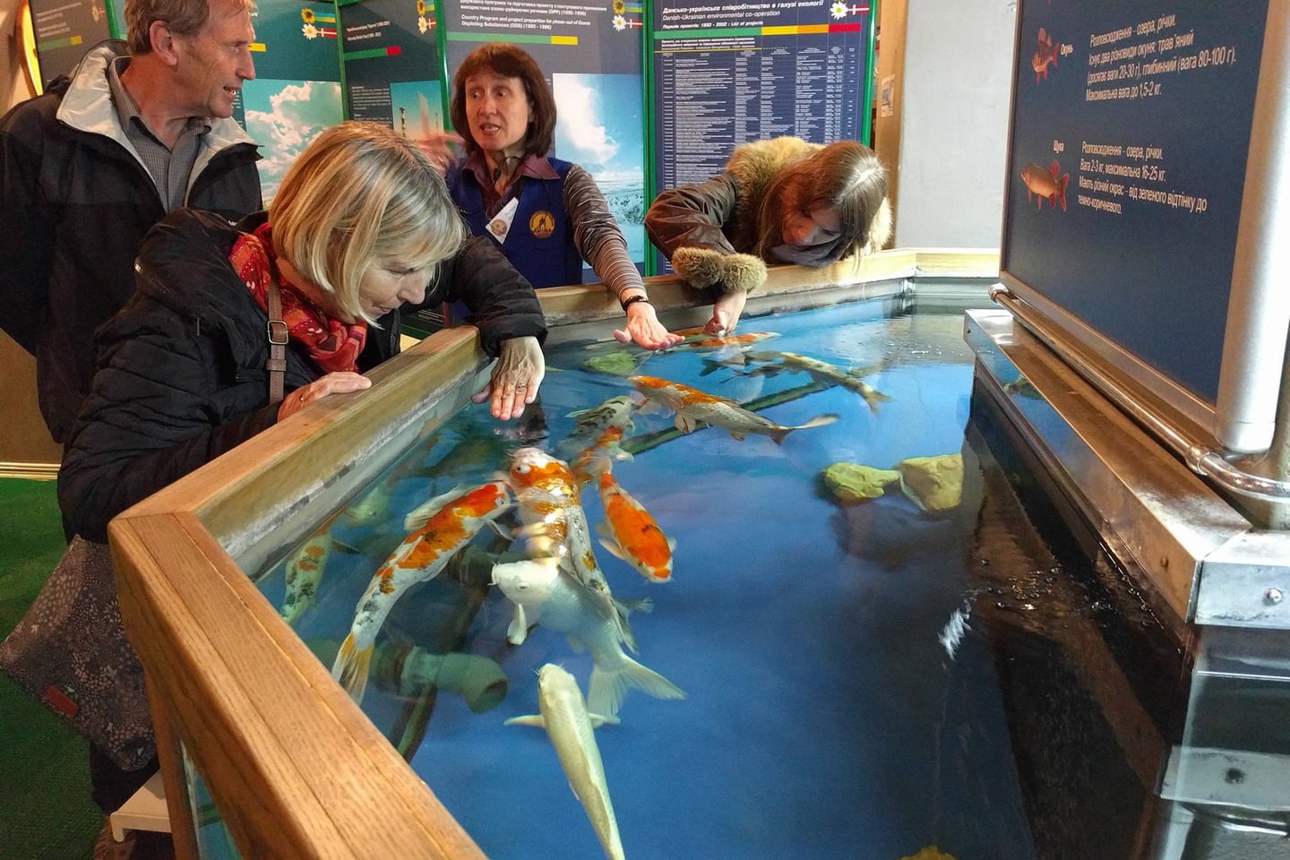 Koi Fish - Water Museum, Kyiv